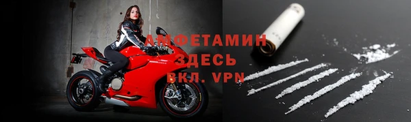 прущие грибы Козловка