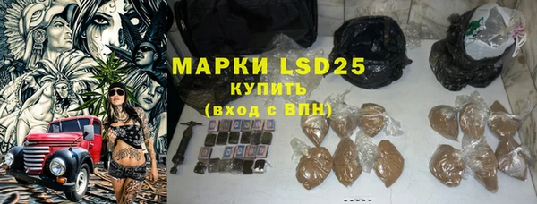 прущие грибы Козловка
