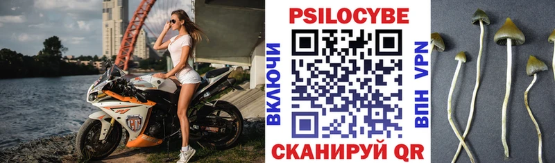 цена   Мантурово  Галлюциногенные грибы прущие грибы 